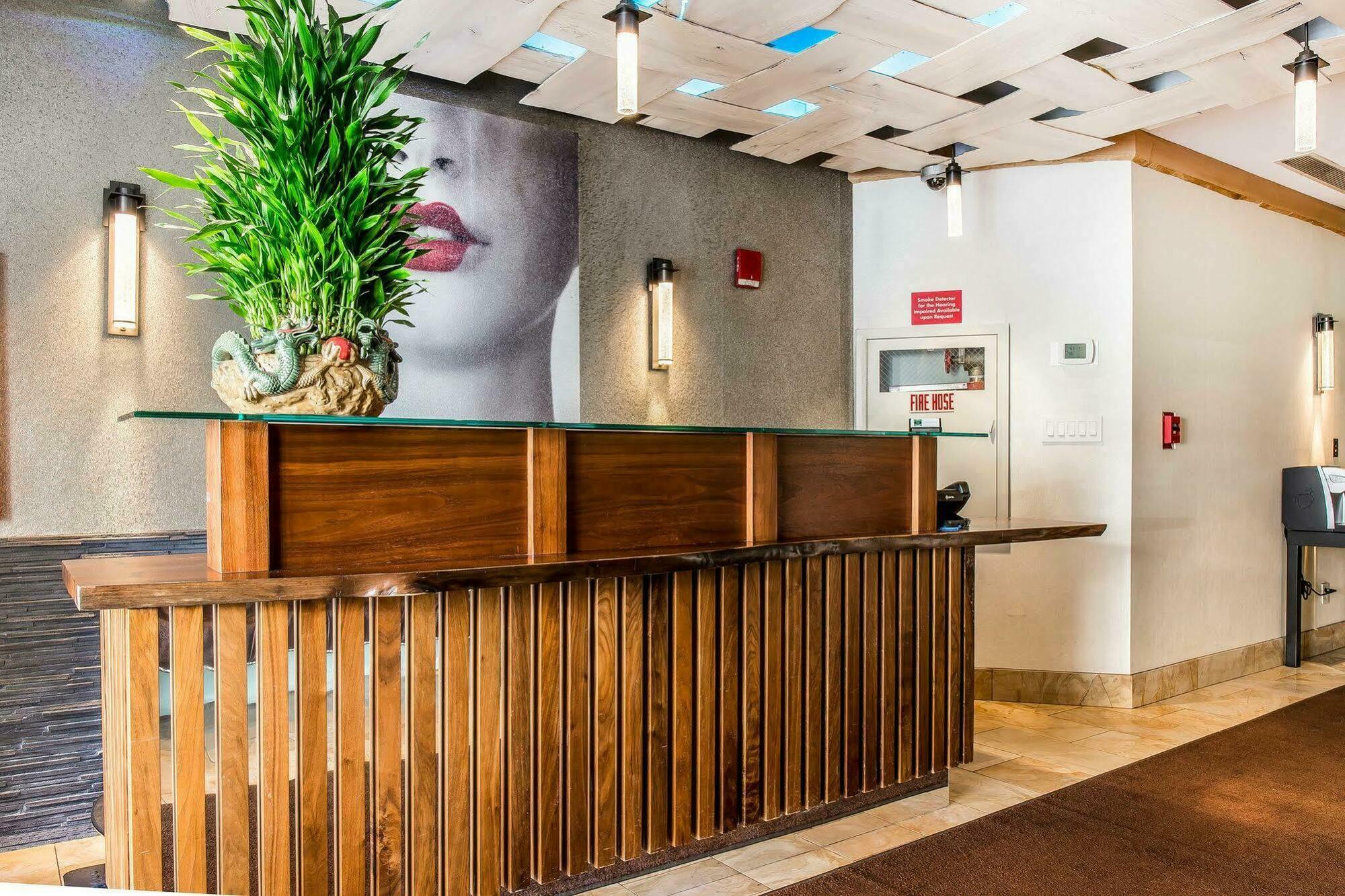 Solita Soho Hotel New York Exterior foto